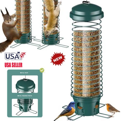 Squirrel proof wild bird - wild,