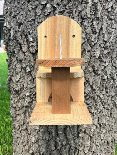 Table and chair cedar squirrel