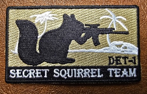 Secret squirrel team - squirrel,