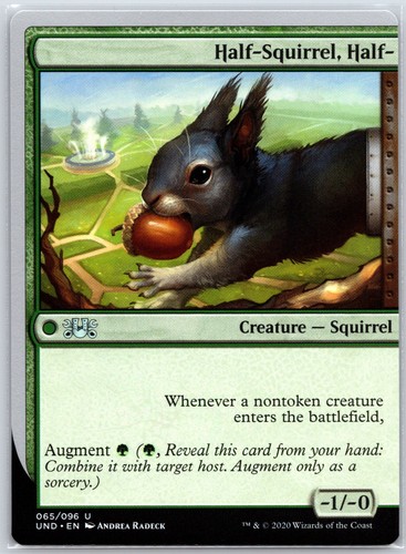Half squirrel 65 - half-squirrel,,