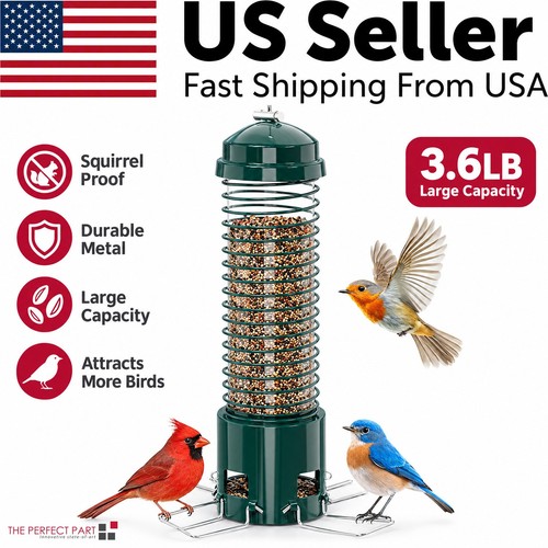 Squirrel proof bird - squirrel,