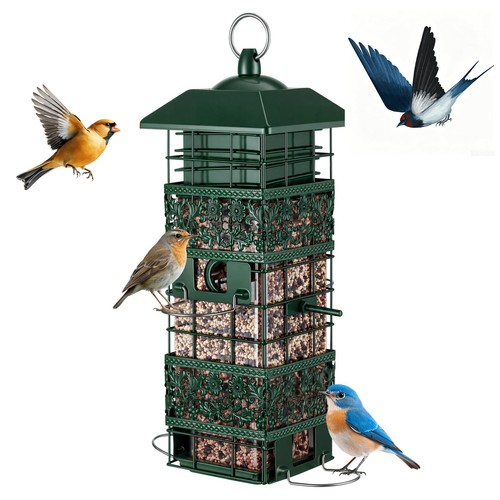 Squirrel proof bird - bird, feeder